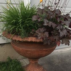 Flower Pots