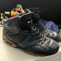 Retro Jordan 6s (Chameleon)