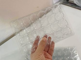 10-Pack Clear Plastic Quail Egg Cartons – 18 Count Each, Brand New
