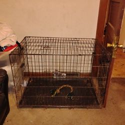 Dog Cage 