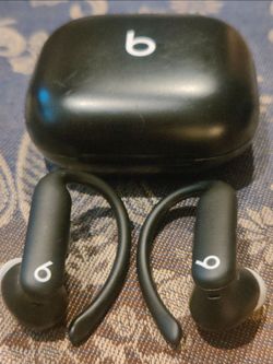 Beats Powerbeats Pro Wireless Earbuds with Case