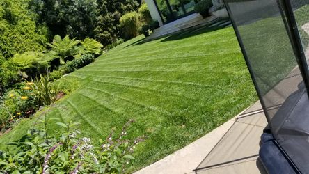 Yard maintenance