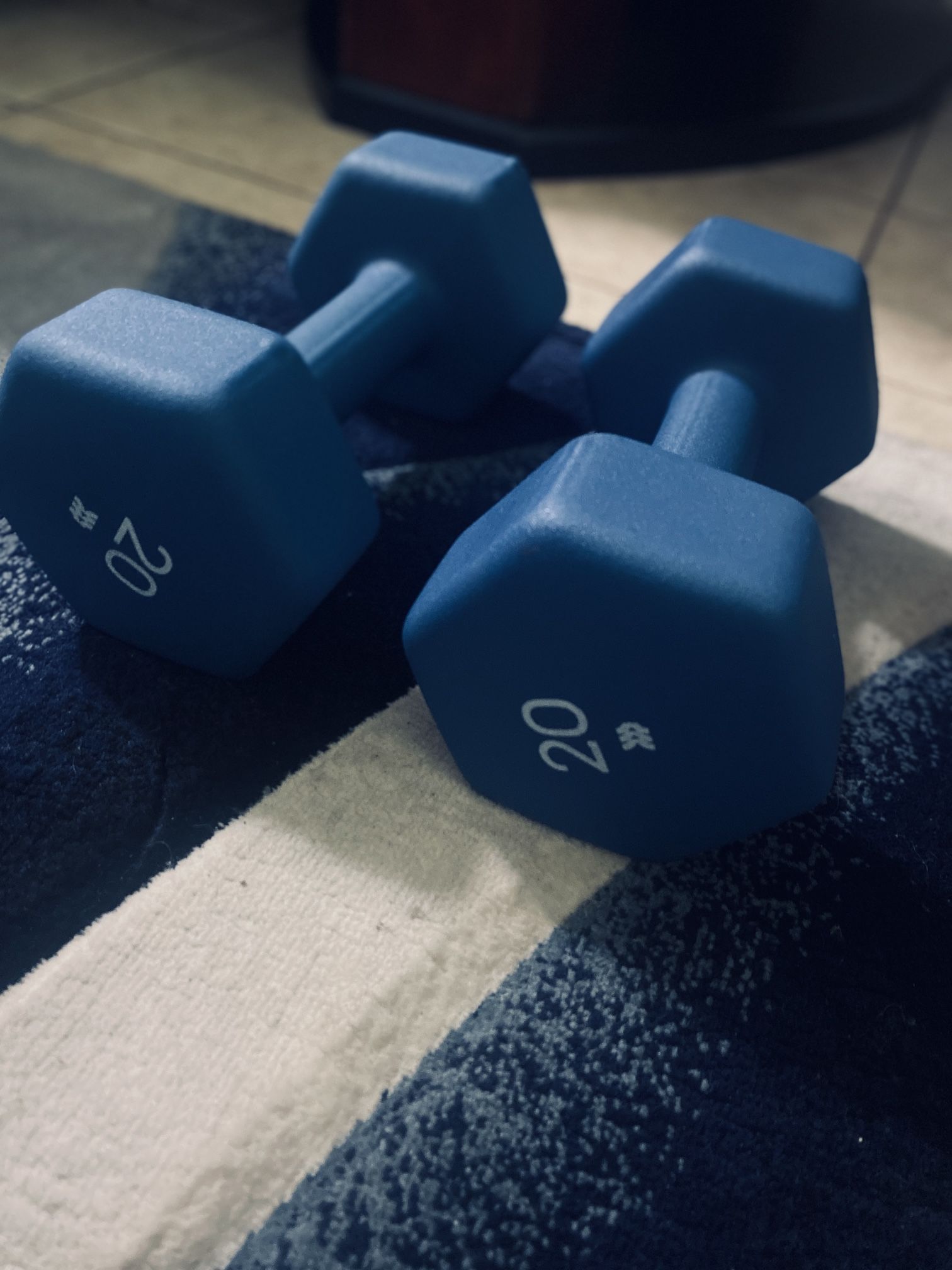 2 Dumbbells-20 Pounds Each
