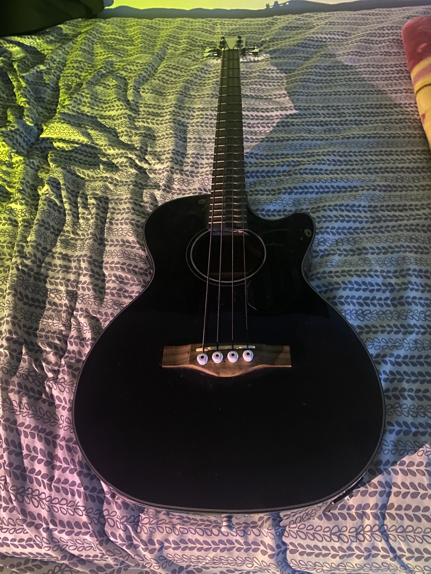 Fender Fishmen Acoustic Bass