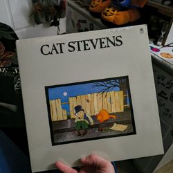 Cat Stevens Vinyl Record
