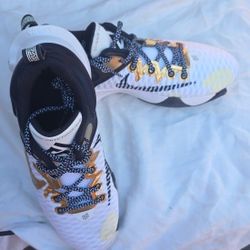 Giannis Nike Sneakers