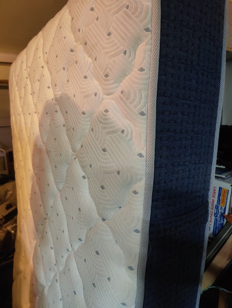 Doctors Choice Plush Queen Mattress