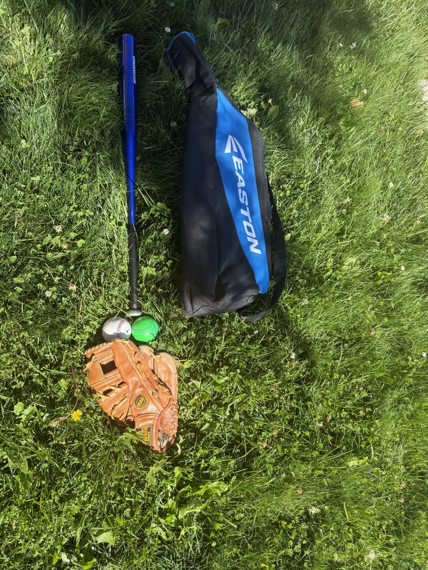 Baseball Kit - Bat, Glove, Balls, Bag