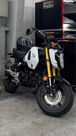 2024 Honda Grom