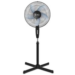 New fan