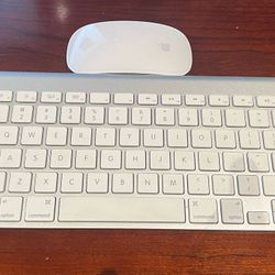 Apple Wireless Keyboard A1314 and Magic Mouse A1296