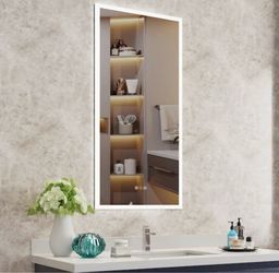 Tunuo 20 in. W x 40 in. H Rectangular Aluminum Right Swing Recessed or Surface-Mount Medicine Cabinet with Mirror and Light