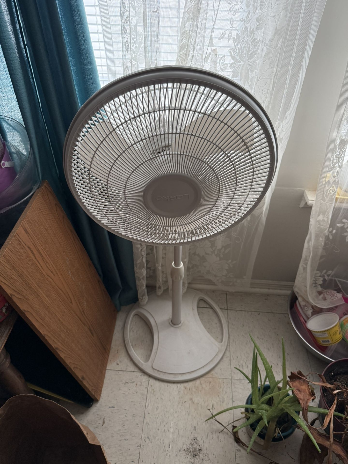 Fan