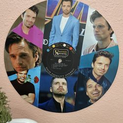 Sebastian Stan Vinyl/ Record Collage 