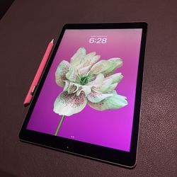 iPad Pro 12.9 Inch W/ Apple Pencil 