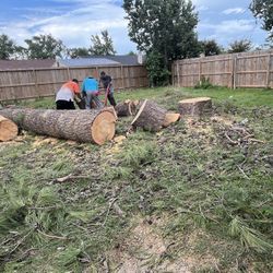 Estamos a la orden para cortes de árboles en todo, Houston