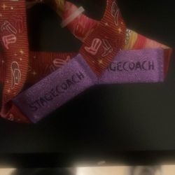  2 Stage Coach Passes 