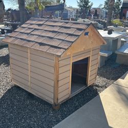 Dog House 