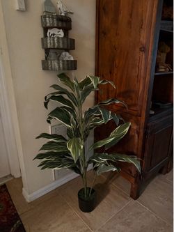 46" Artificial Green and White Variegated Cordyline Plant