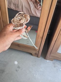 Rosa de platino hermosa $70