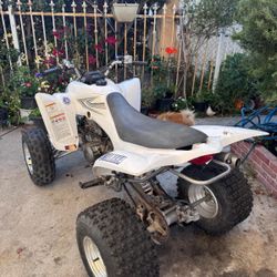 Yamaha Raptor 