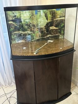 Pescera! SÚPER DEAL