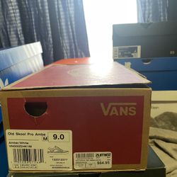 Van Skating Shoes