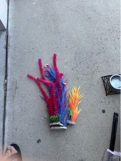 Fishtank decor