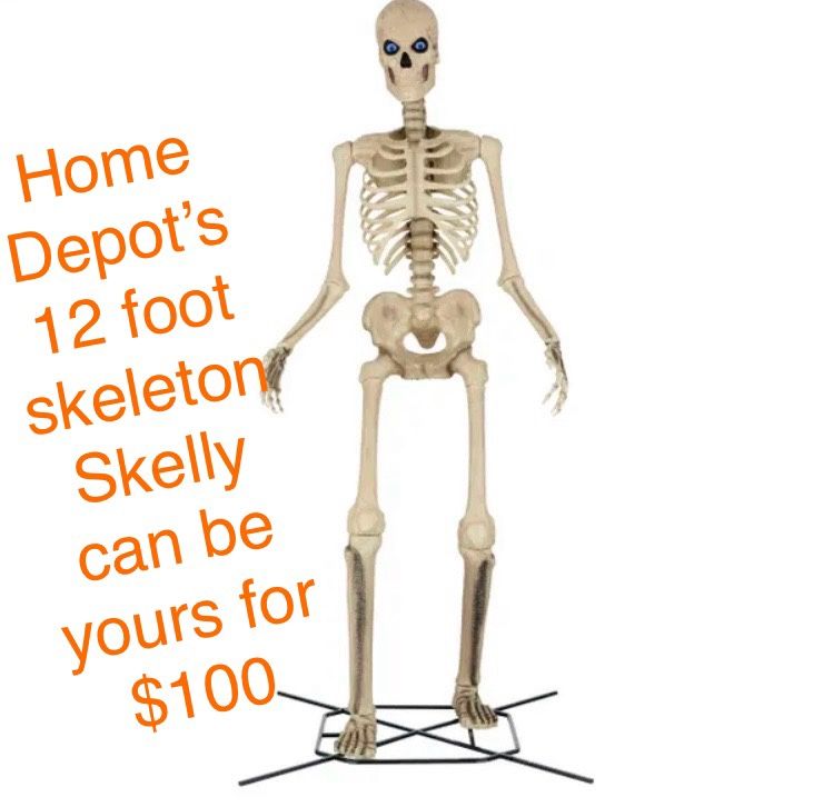 Skelly Needs A New Home