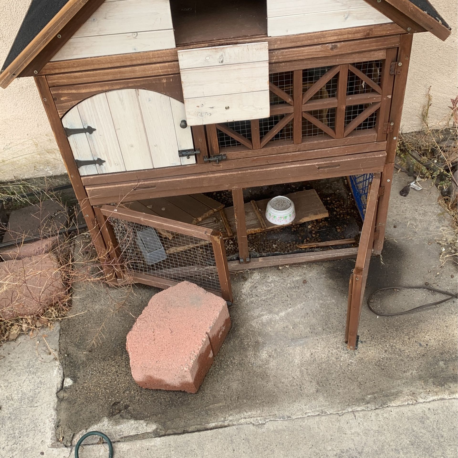 Bunny Cage