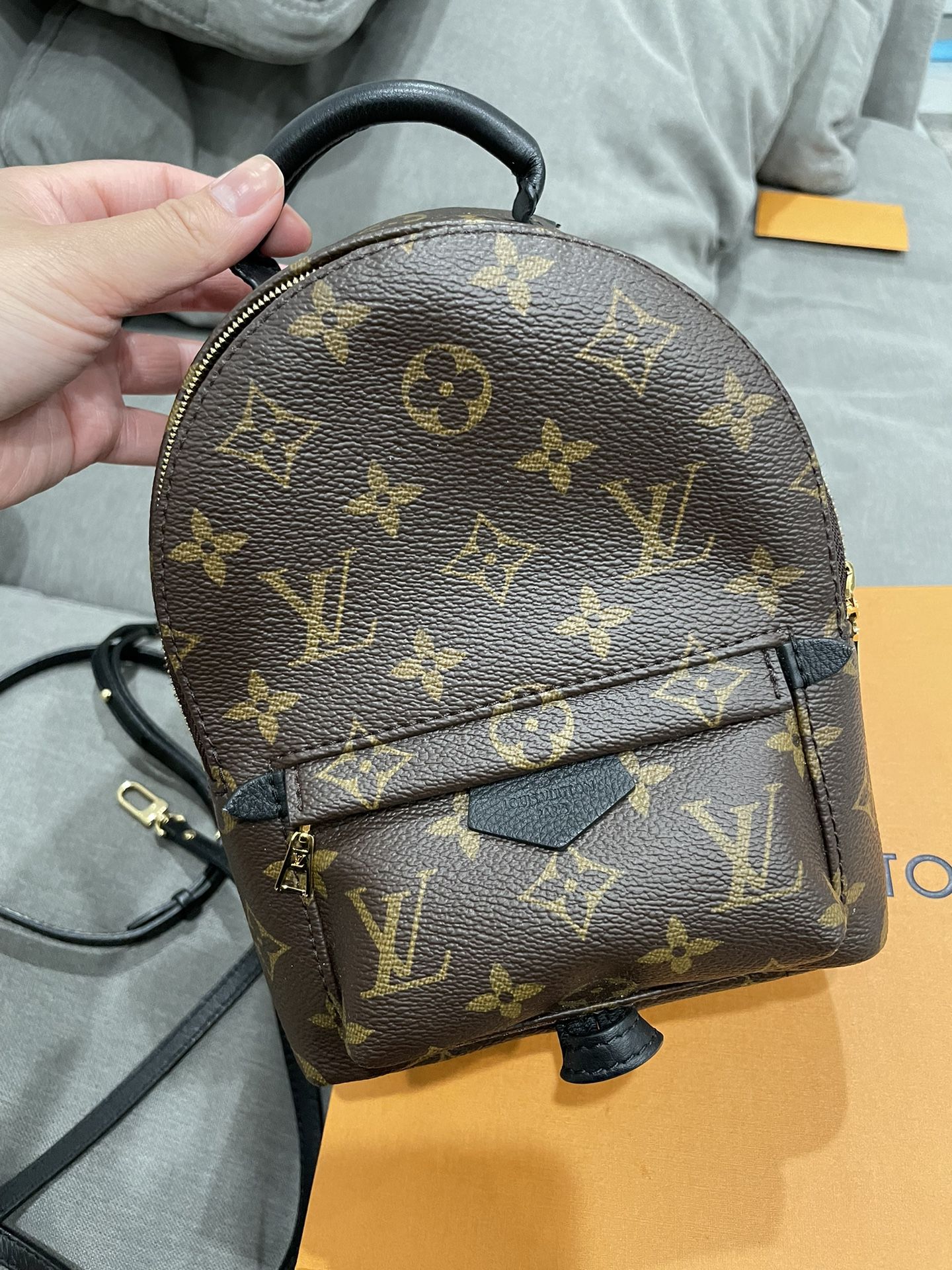 PALM SPRINGS MINI backpack for Sale in Las Vegas, NV - OfferUp