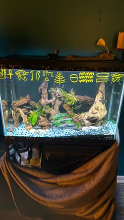 Fish tank setup, complete