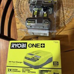Ryobi 18v 6ah And Fast Charger 