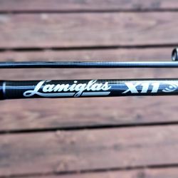 Lamiglas X11 8'6 M paired with Shimano Sahara C3000 