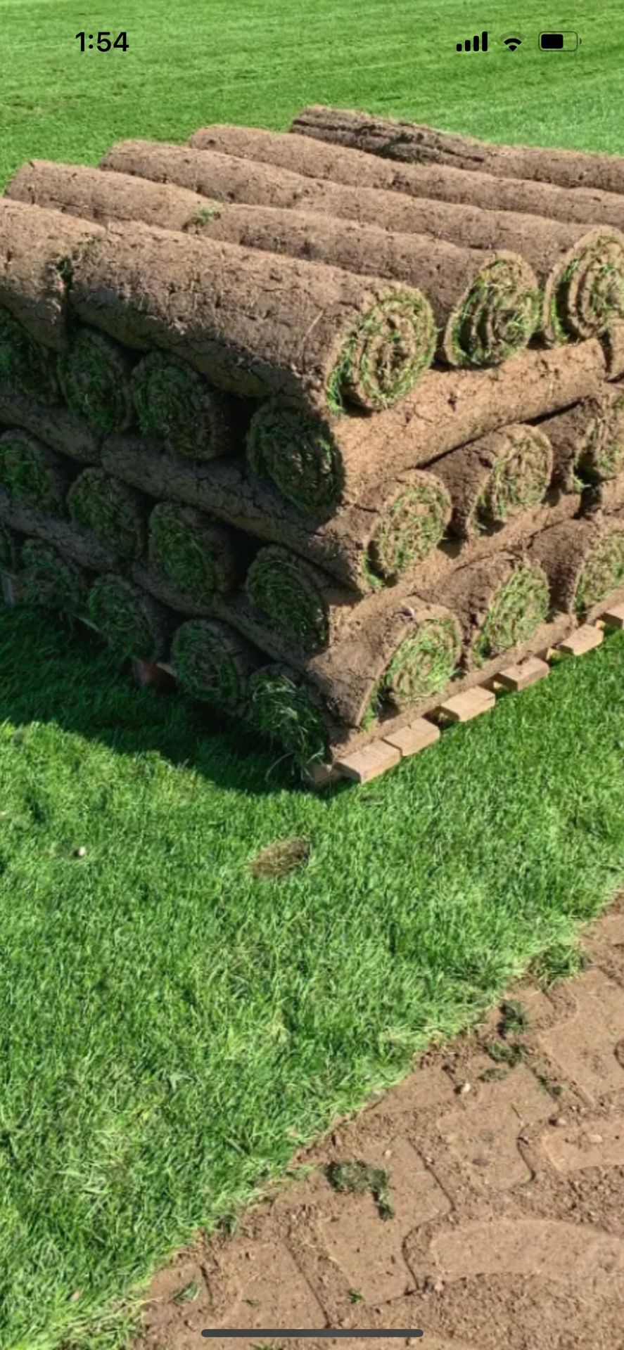 fresh sod