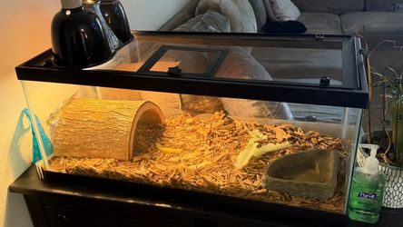 Reptile Terrarium Tank gwith Heat Lamp and Accessories