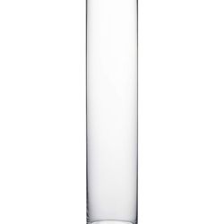clear  tall vases 