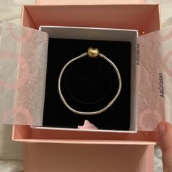 Brand New Pandora Charm Bracelet 