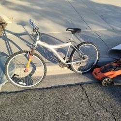 Bicycle 
