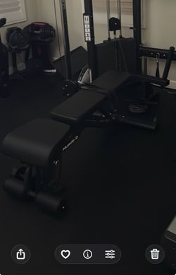 Muscle D Commercial Adjustable Weight Bench