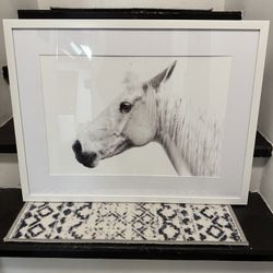 Camarillo House Framed Picture