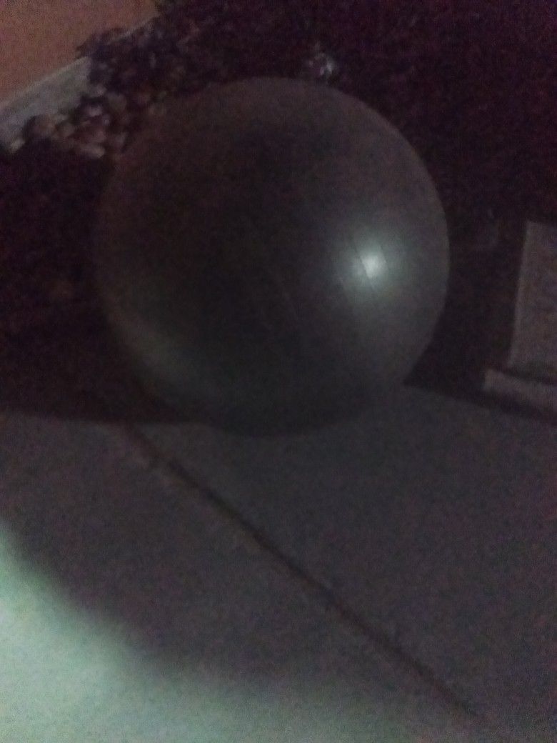 Exercise Ball $20