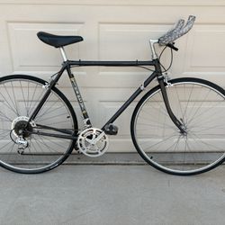 Trek 410/412 Bike