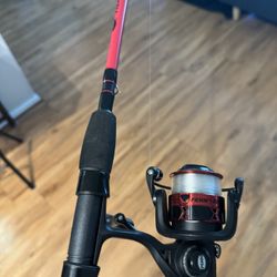 Fishing Rod And Gear