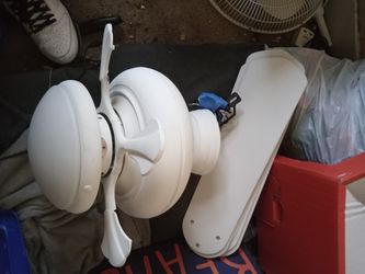 Ceiling Fan With Light