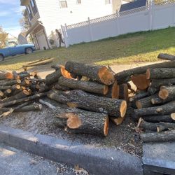 Free Firewood