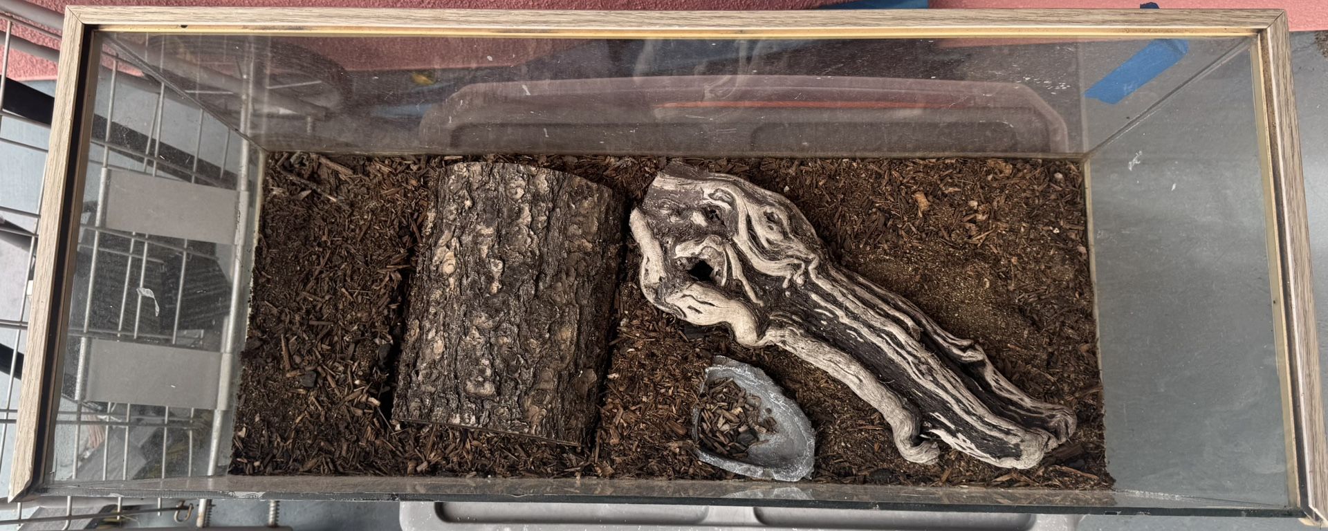 Reptile Enclosure Tank 30x11”