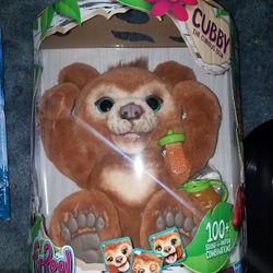 Cubby Bear