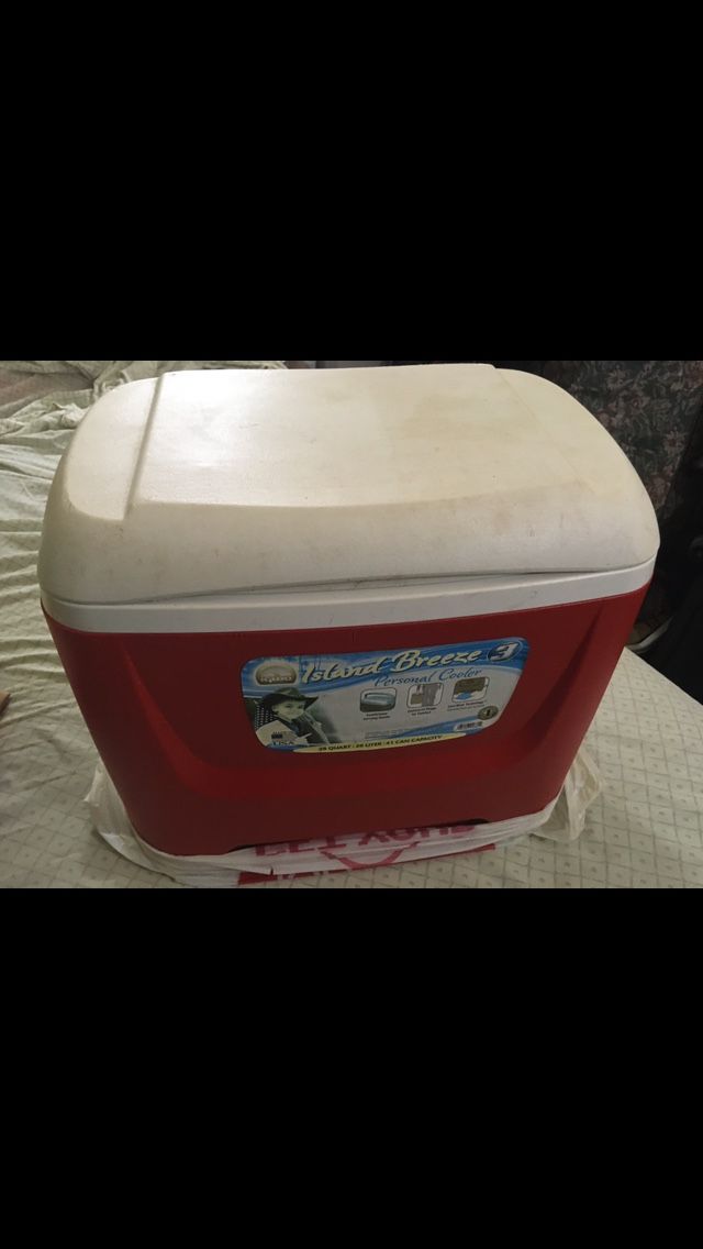 IGLOO 26 Liter Cooler
