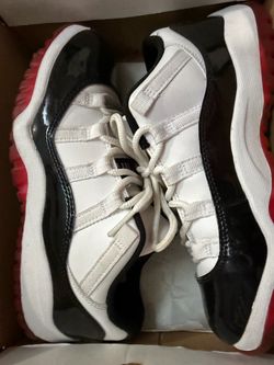Bred 11 3y